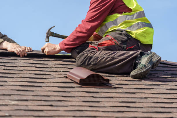 Best Metal Roofing Contractor  in Ellettsville, IN